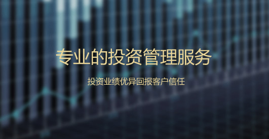 專業的投資管理服務
